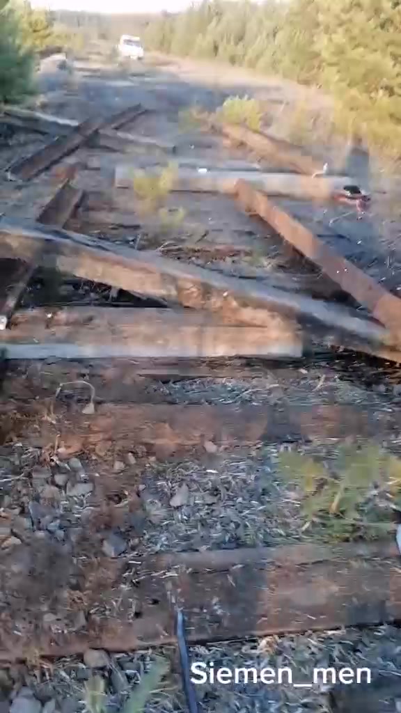 @Сибирский металокоп_38