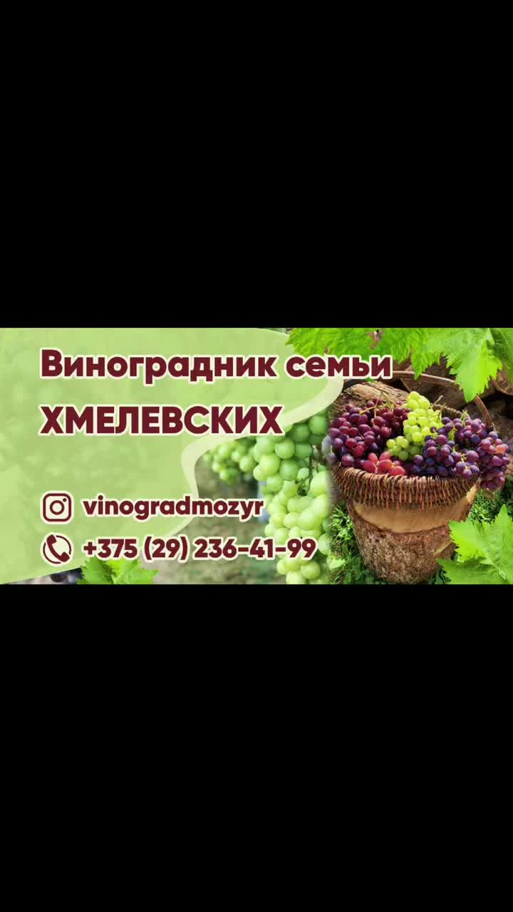 @Vinogradmozyr