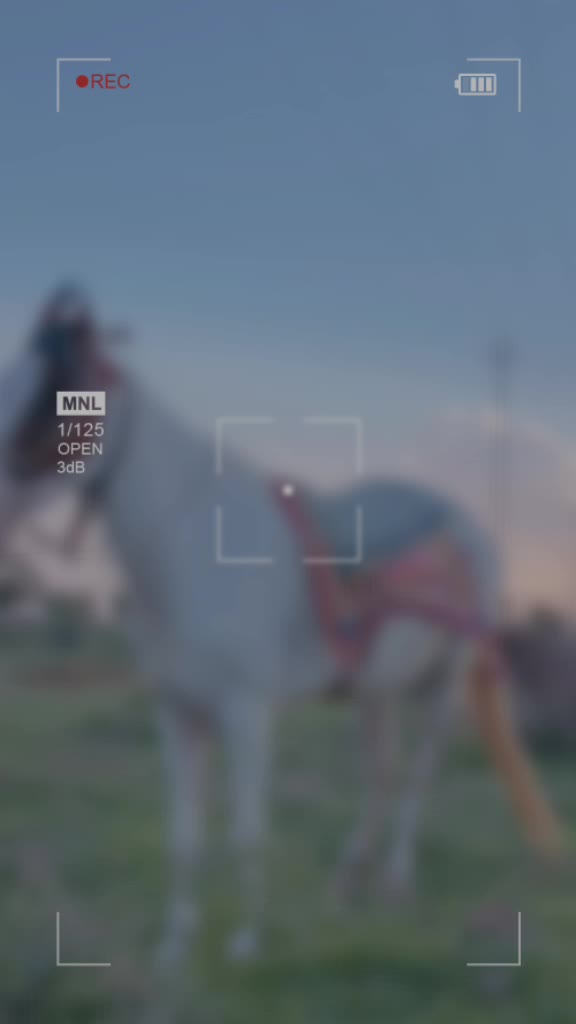@𝕁𝕒𝕪𝕧𝕖𝕖𝕣