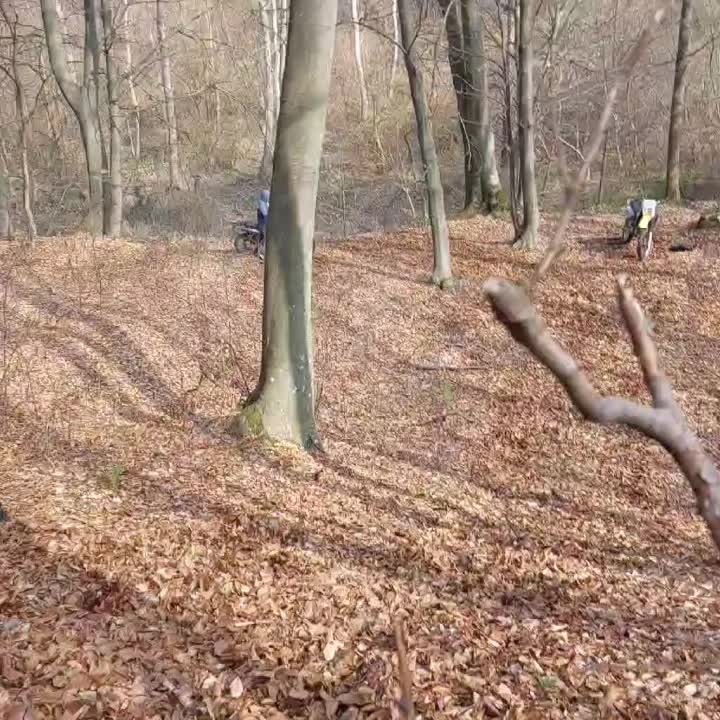 @Nikola Bankovic