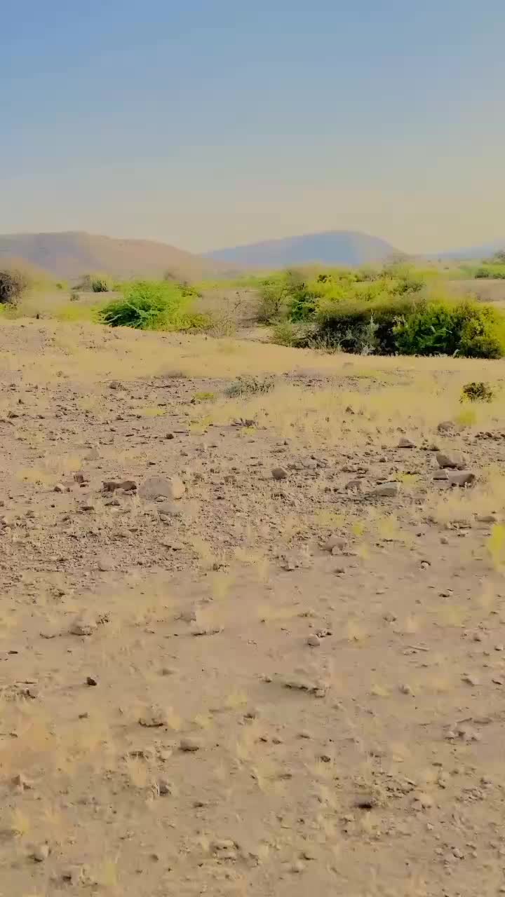@Abid Ali Sumalani zb