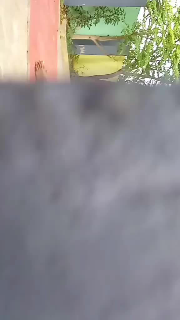 @PZ