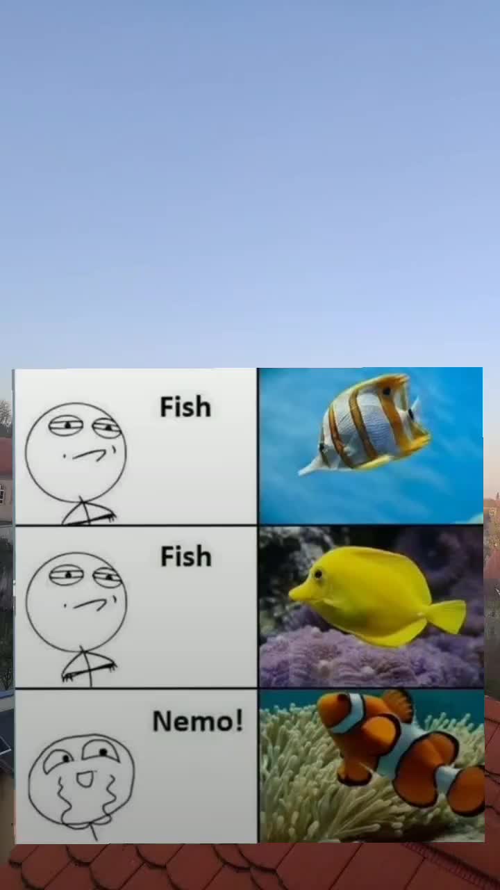 @Meme