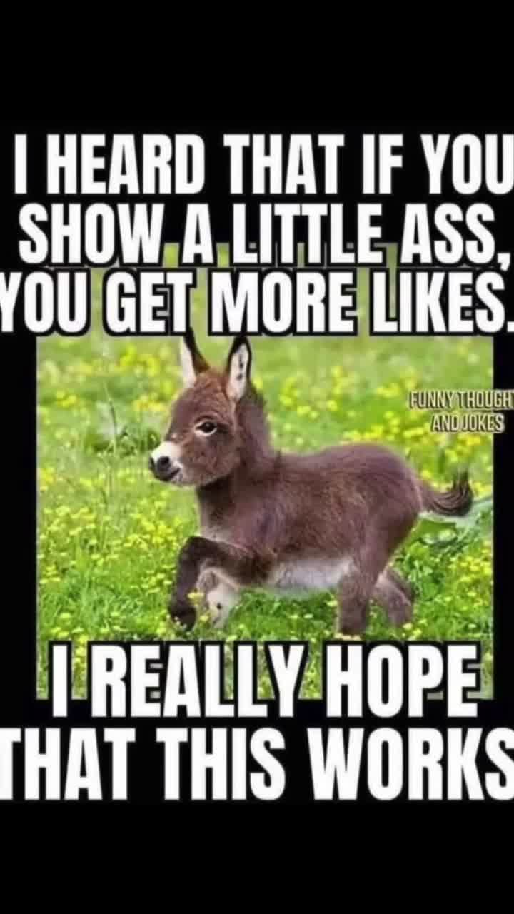 @Brookepatton95