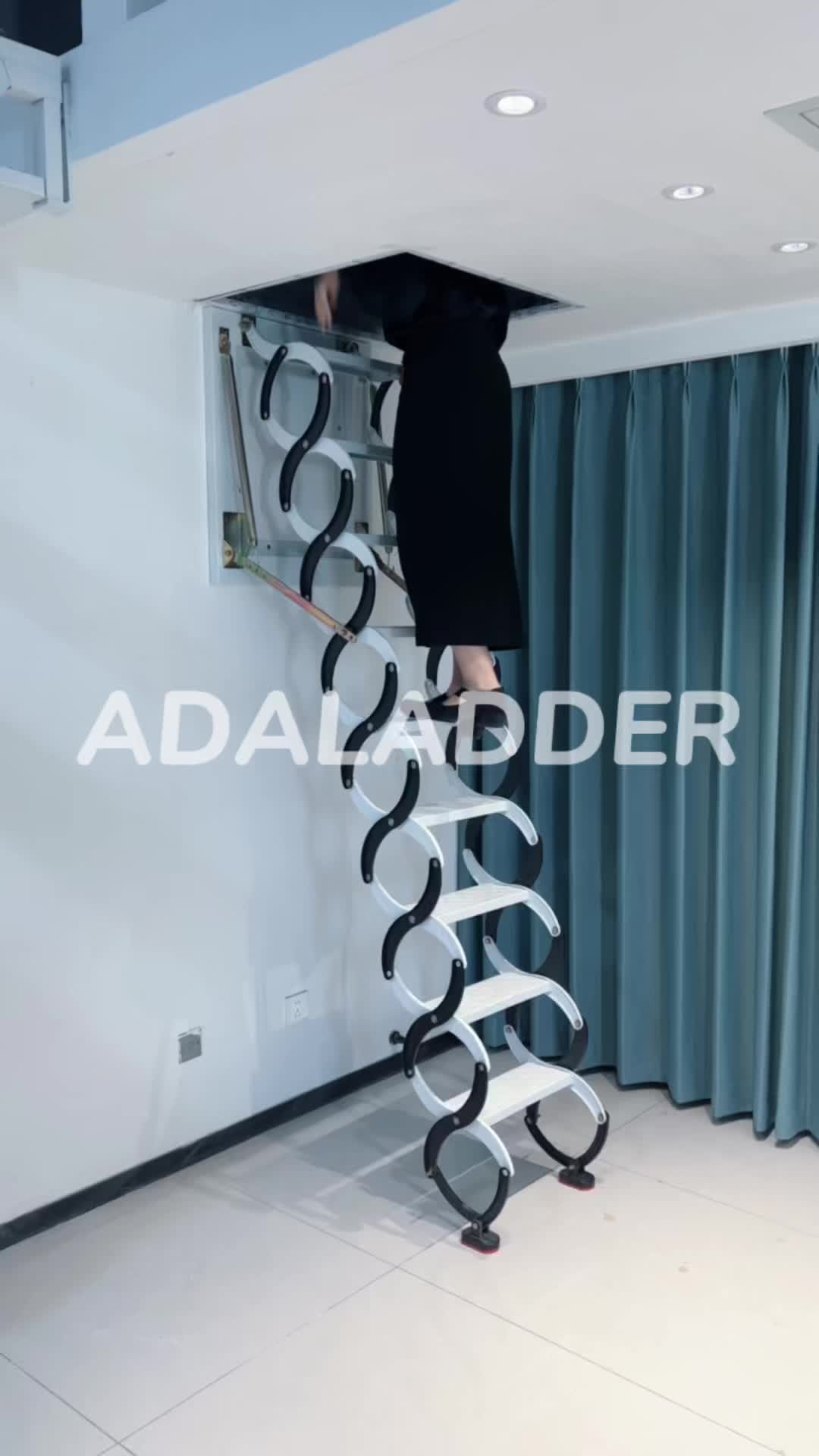 @Renee_attic ladder