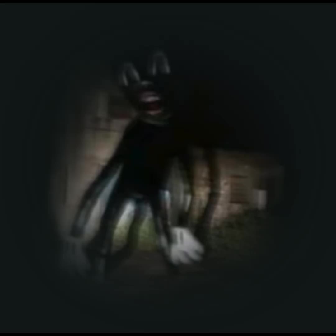 @cartoon cat edit