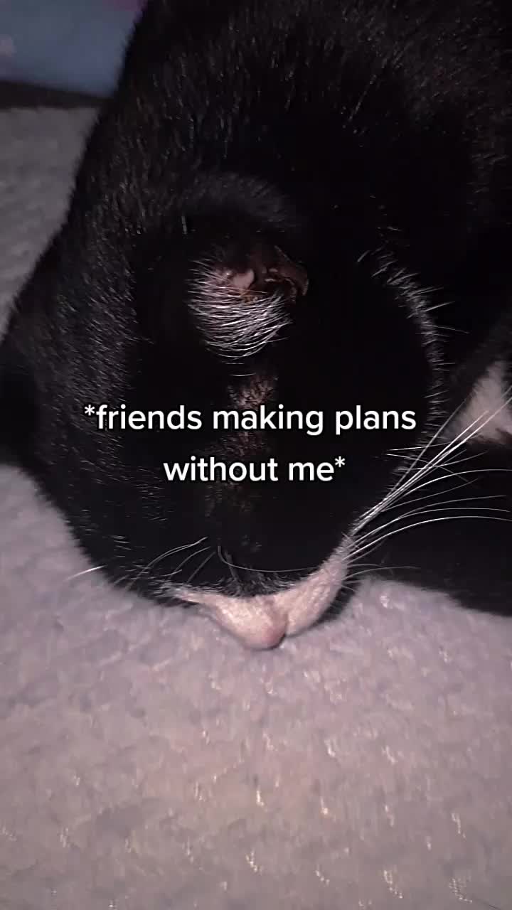 @pain.______.hubb