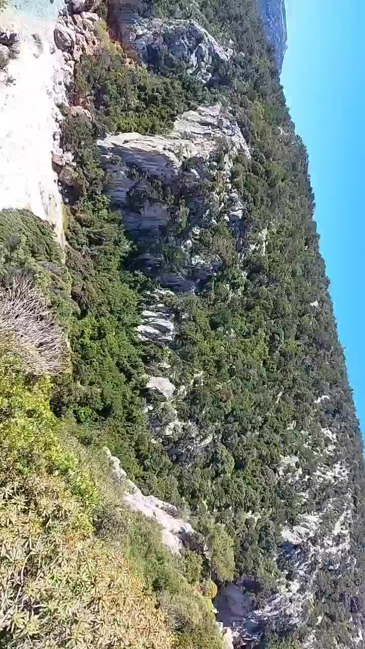 @Ilenia Cordeddu
