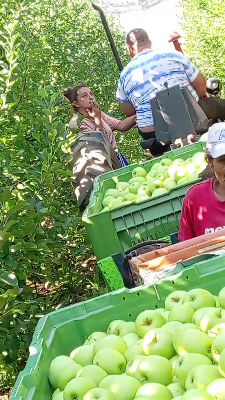 @๐ฎ๐พ๐๐๐พ๐ถ๐ถ