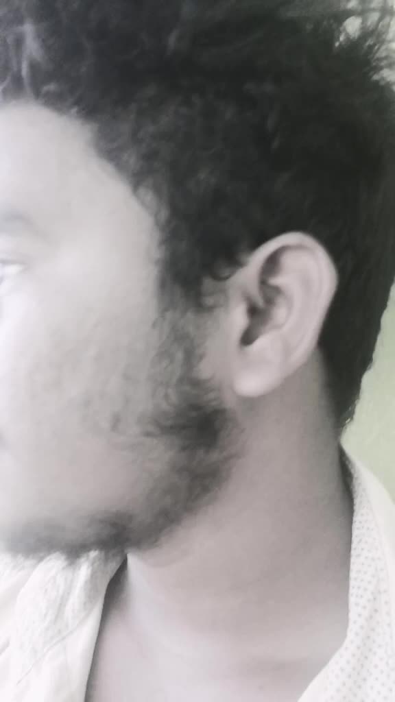 @Stylish bunny