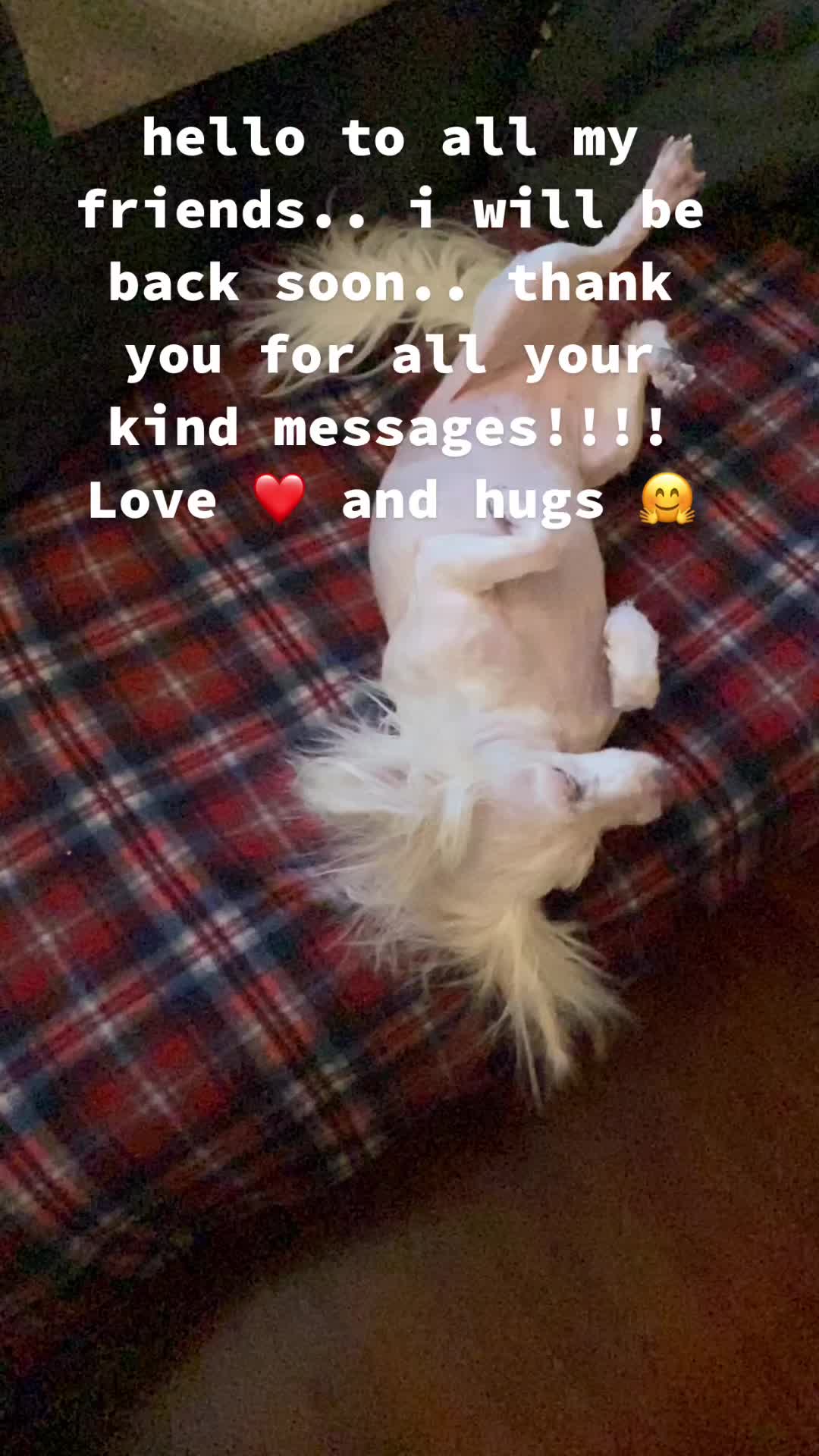 @LillyMae5
