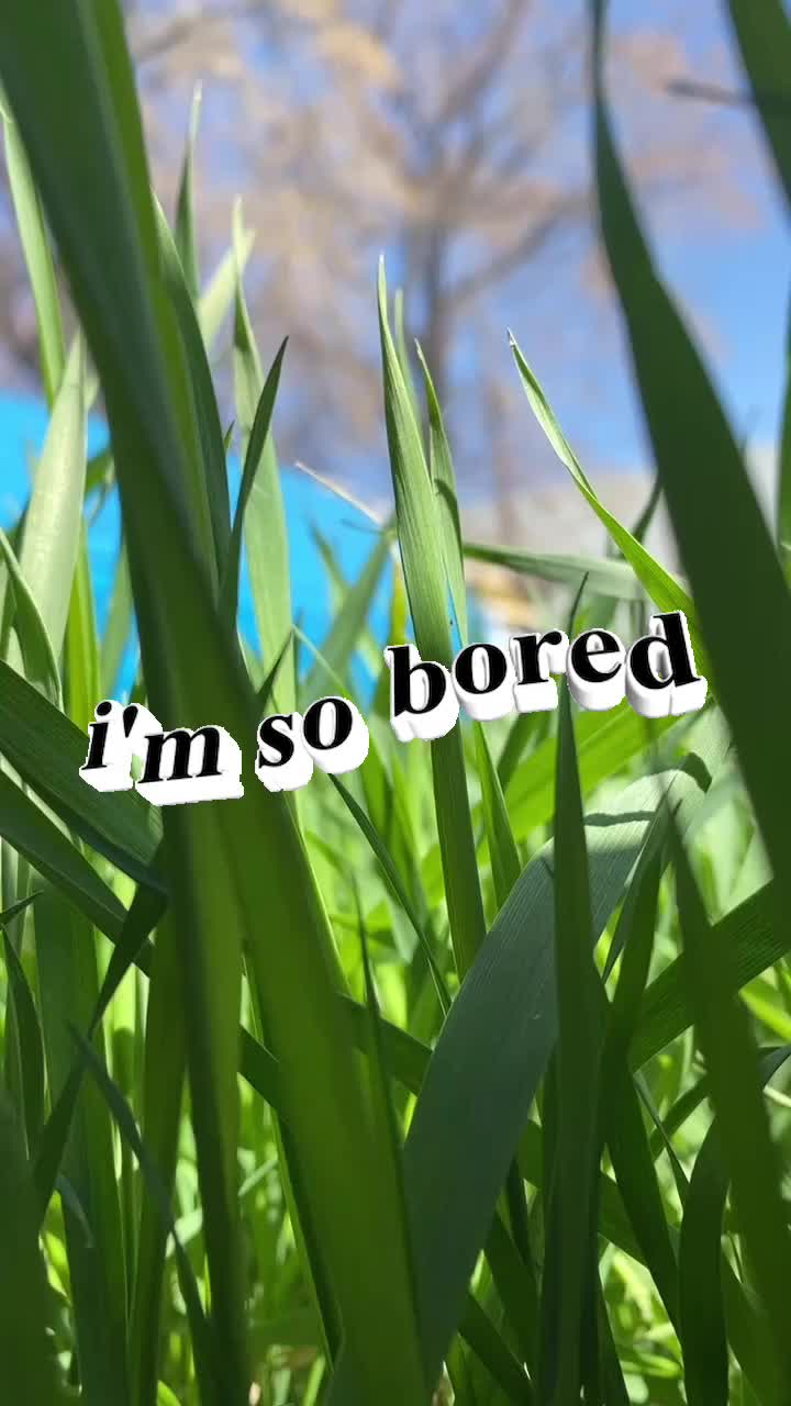 @ThaRob