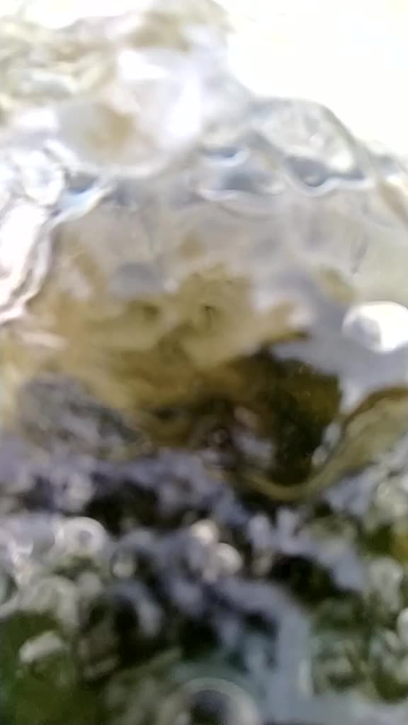 @patudhanouri