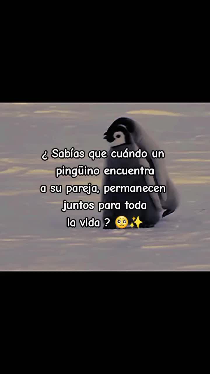 @Daniela AC