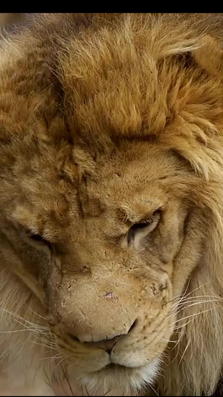 @PakhtoonYar5566