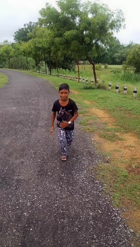 @SUMIT bagarti