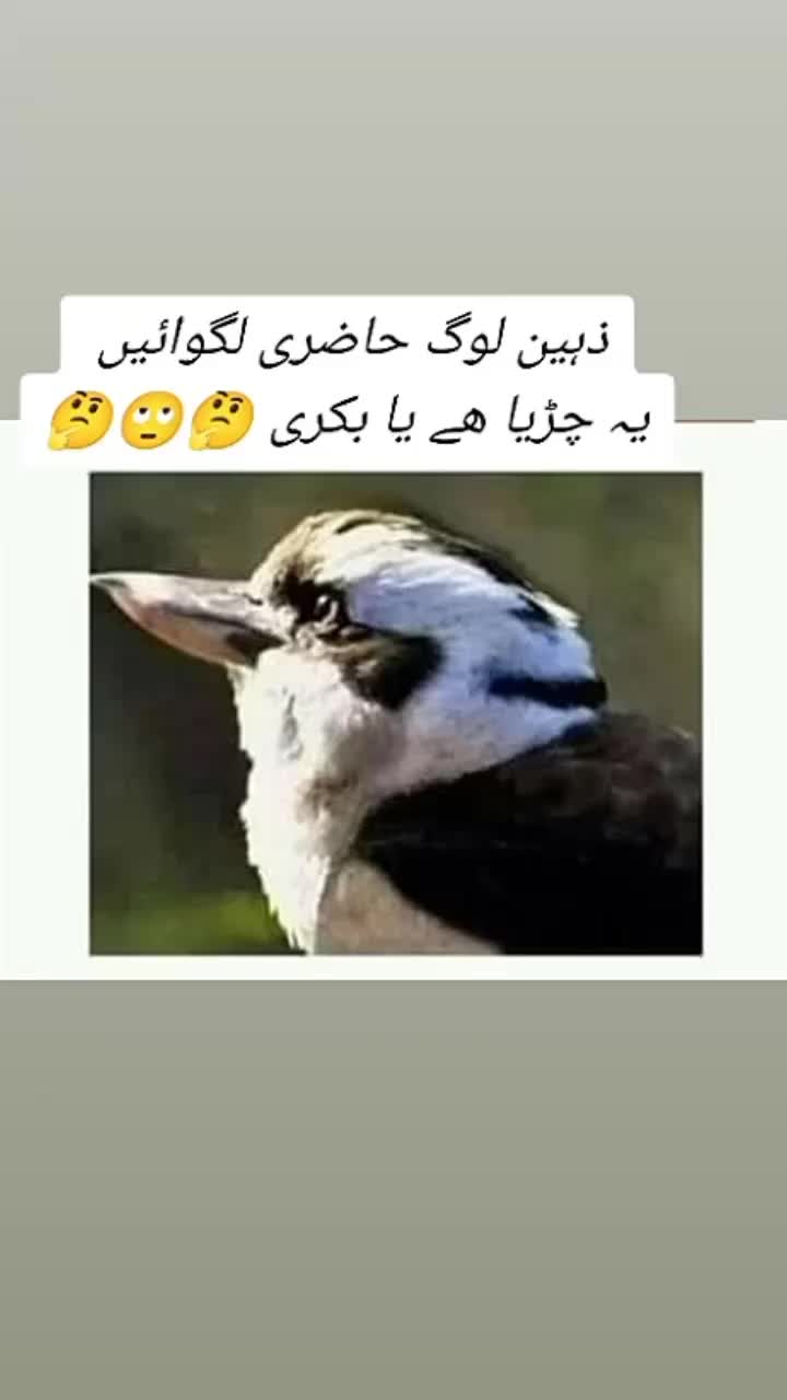 @🇵🇰Tiwana 69🇦🇪🇦🇪🇦🇪
