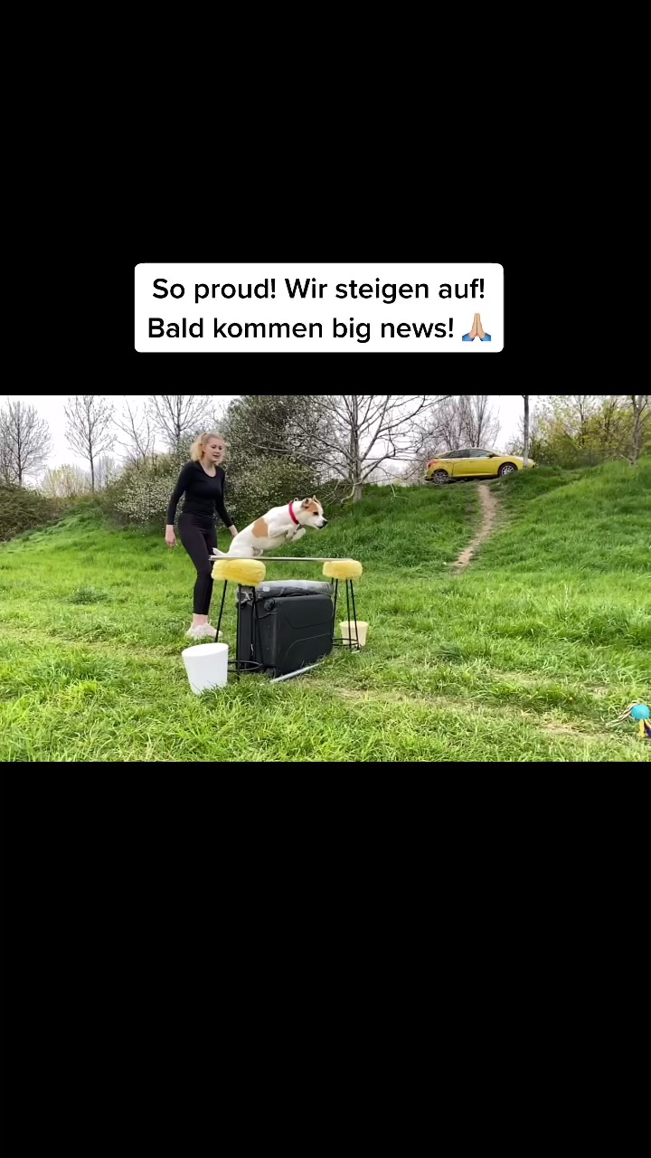 @Denise Kreppel