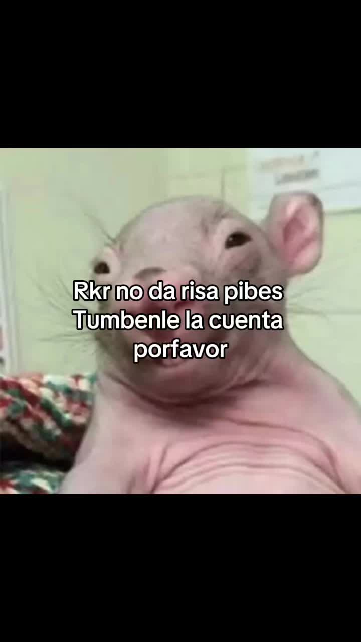 @Pelotosino