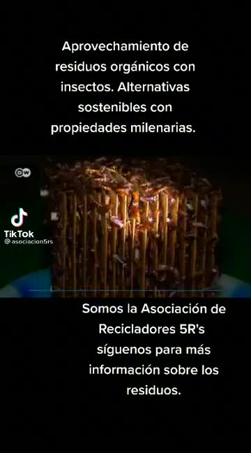 @DonMele