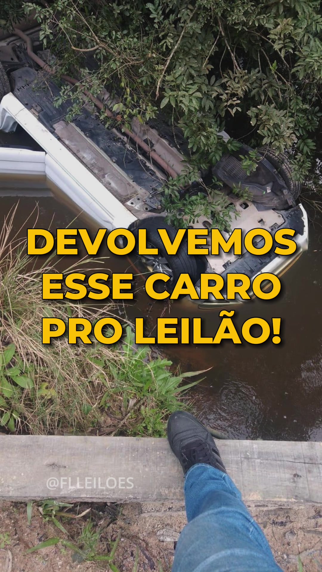 @Filipe Tinoco - FL LEILOES