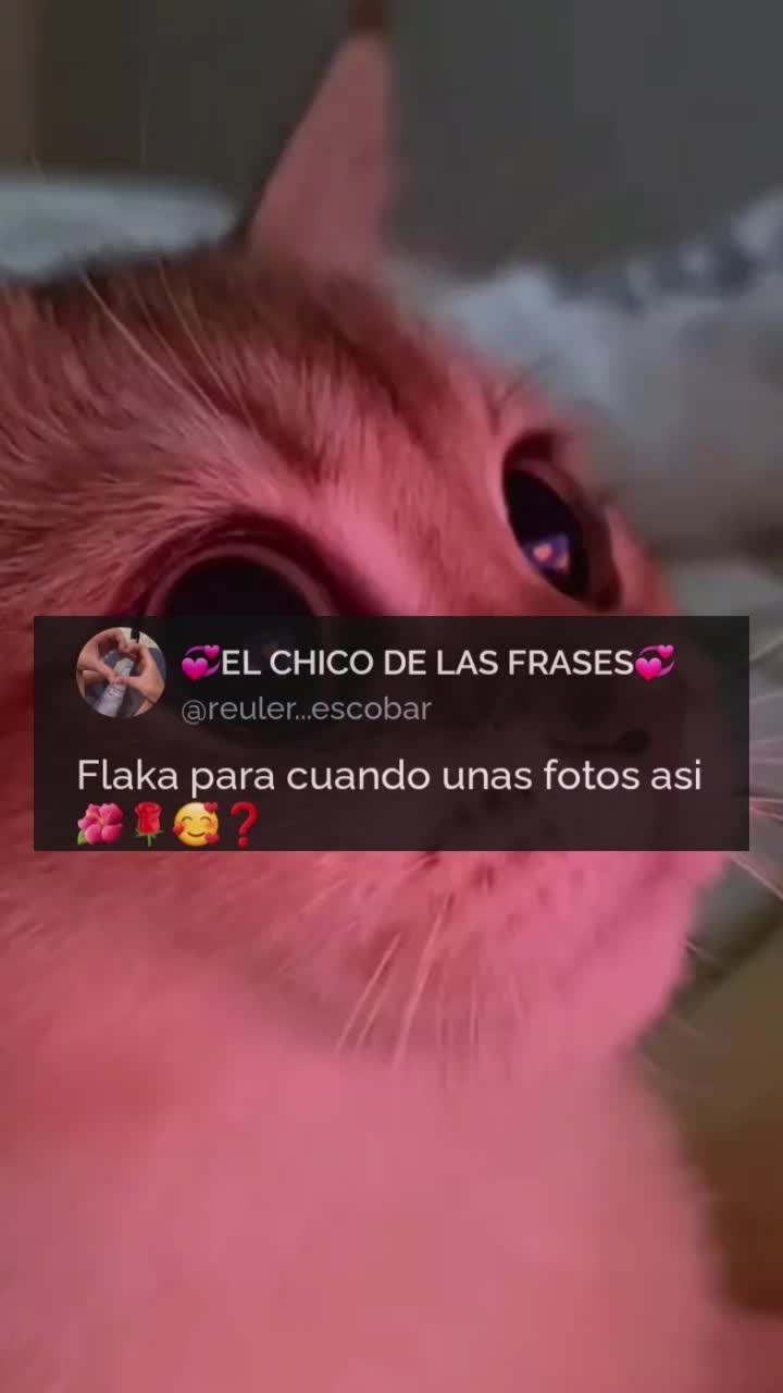 @óbito-R6