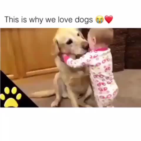 @user62900509054