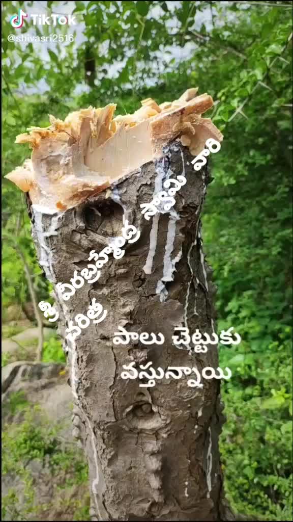 @user778093