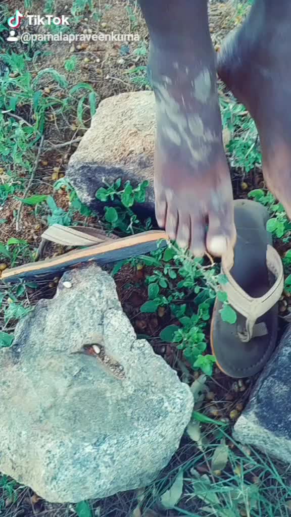 @Pamala Praveenkumar