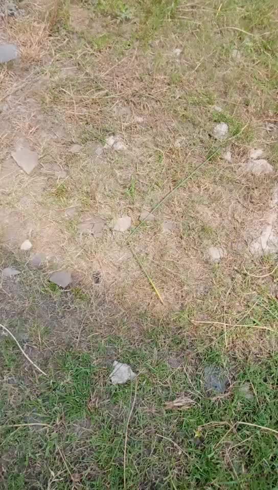 @AnKiT_Manikpuri__?✓