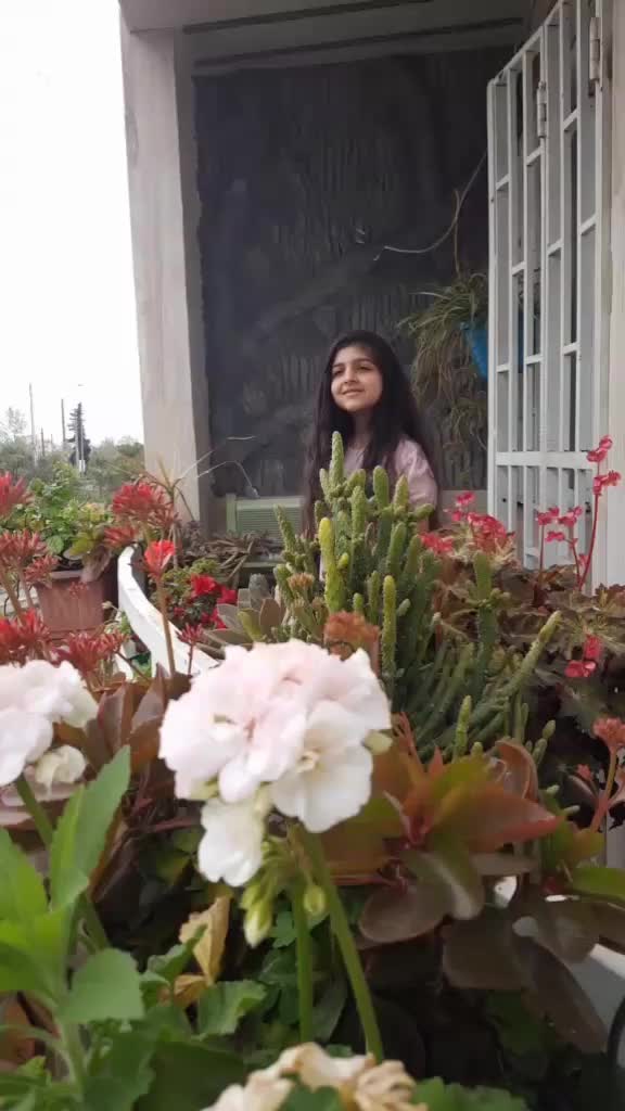 @alemeh