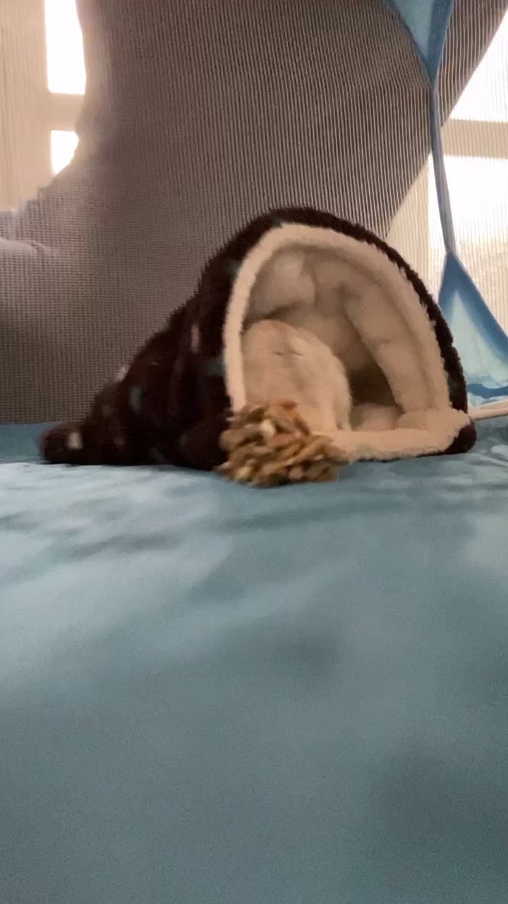 @n1kko