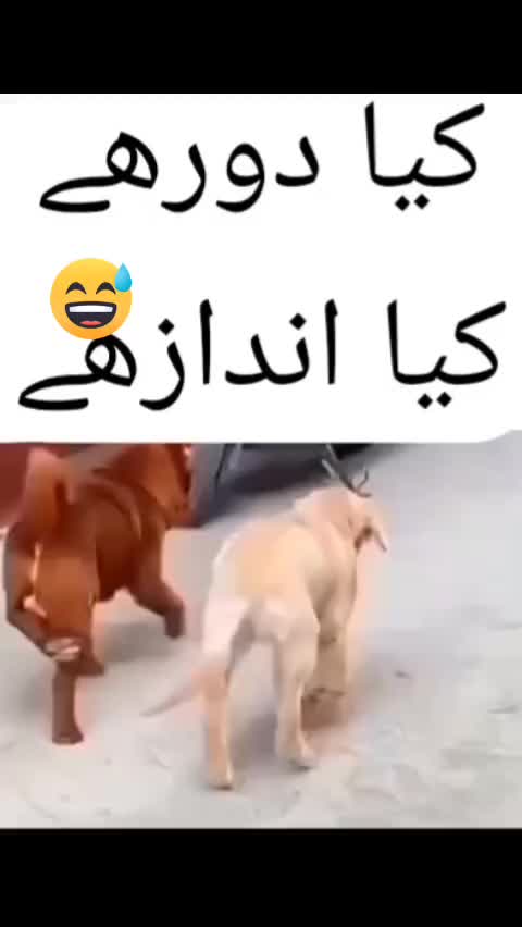 @Ubaidullah