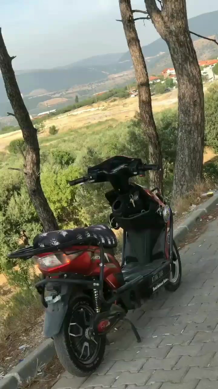 @Atak249🐊