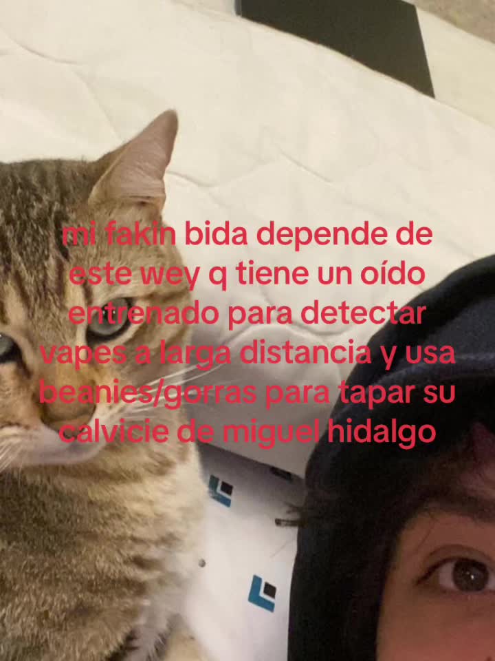 @karo🦇