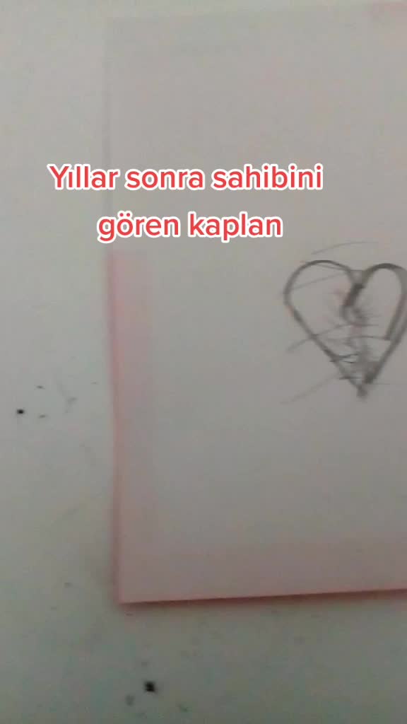 @GOKKİT