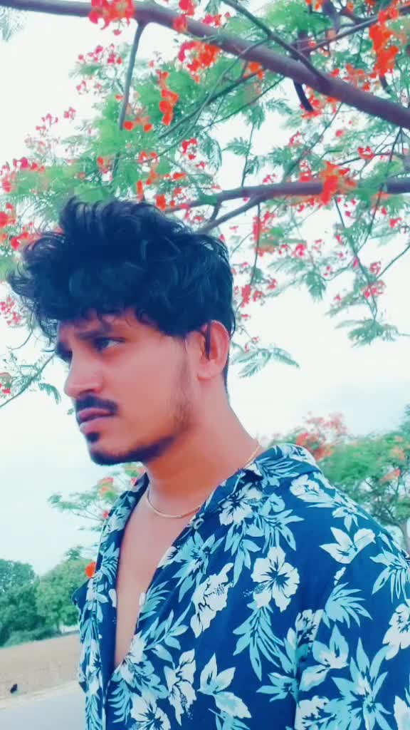 @Harish Chintu