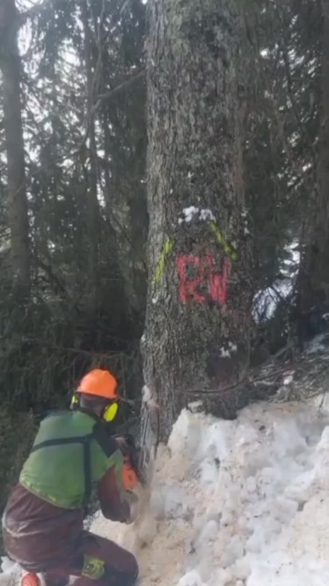 @cäp. Nänduu