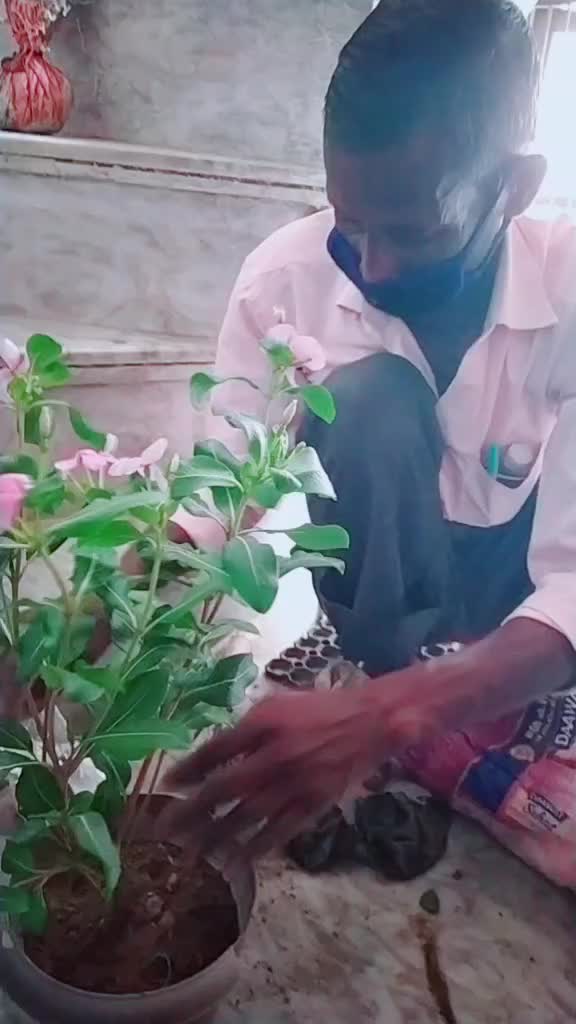 @kushal kashyap