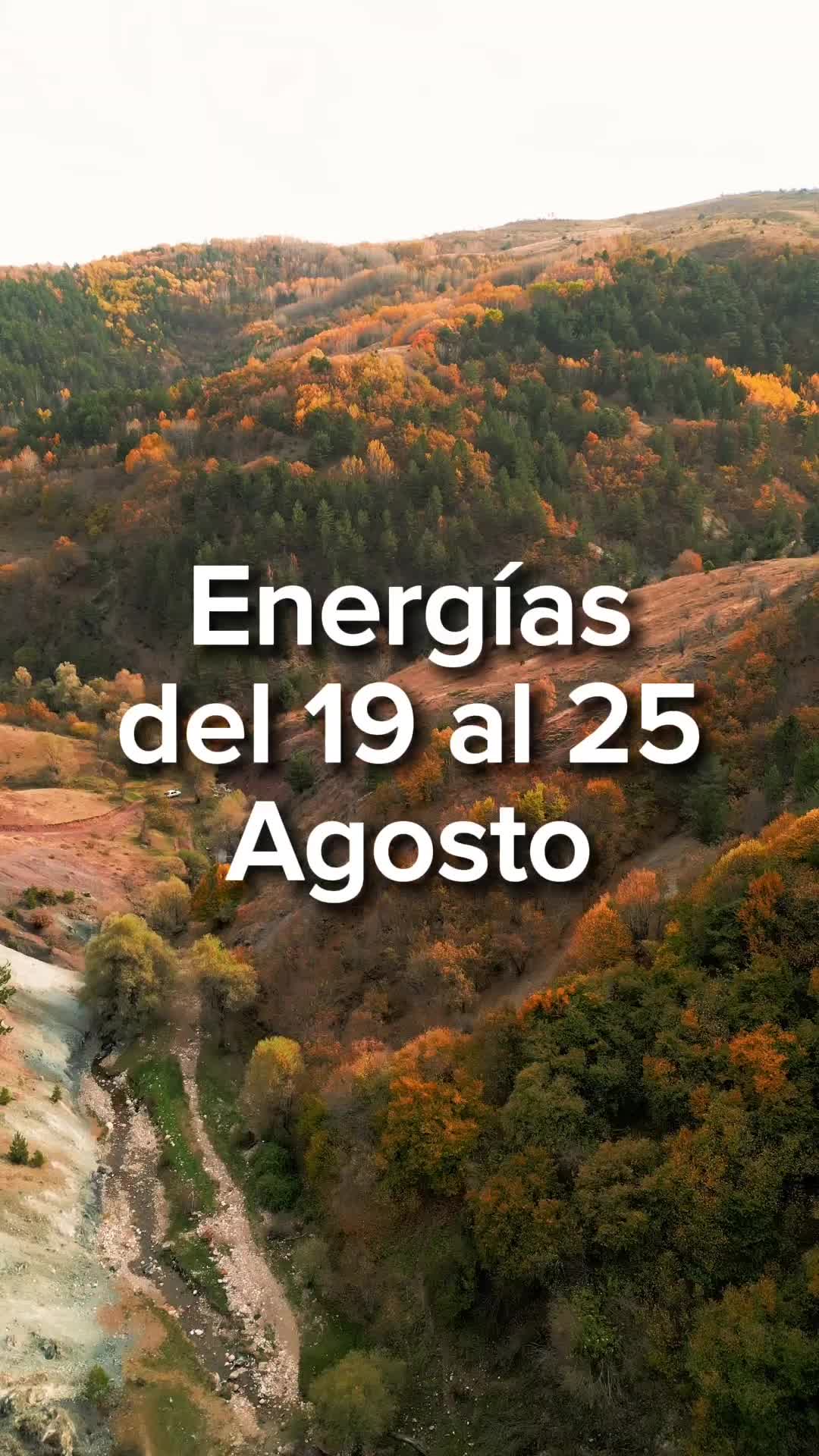 @numerosescenciales