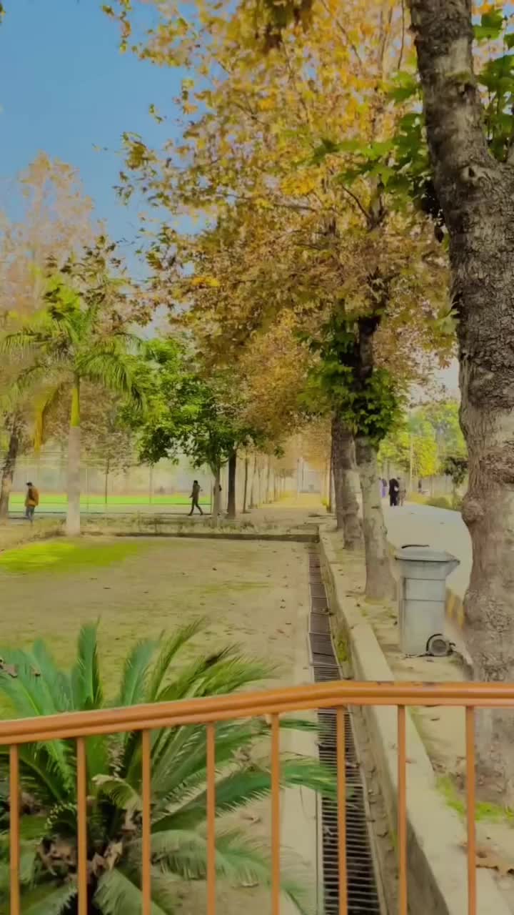 @jawadkhaskheli