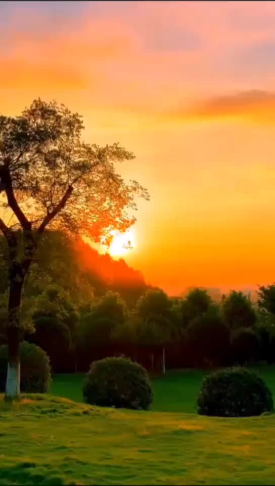 @Munesh Chandramunesh