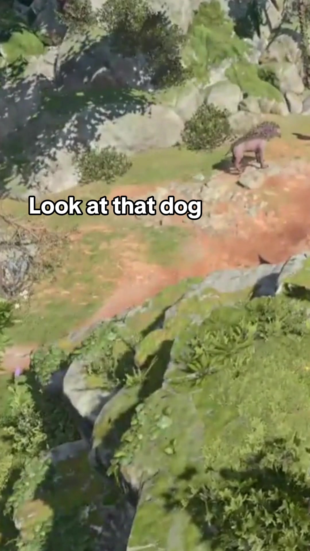 @PlagueTown