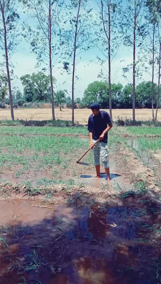 @jugraj Singh mehra