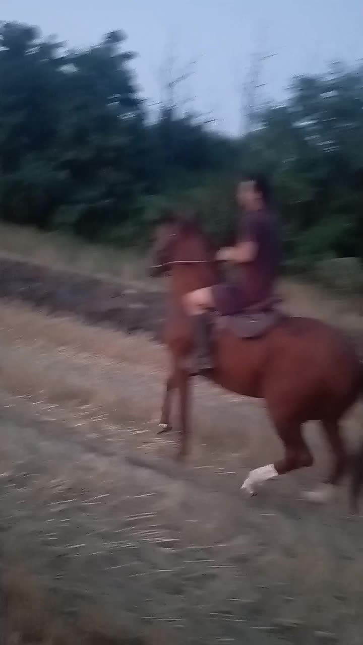 @MUSOFIR 1999