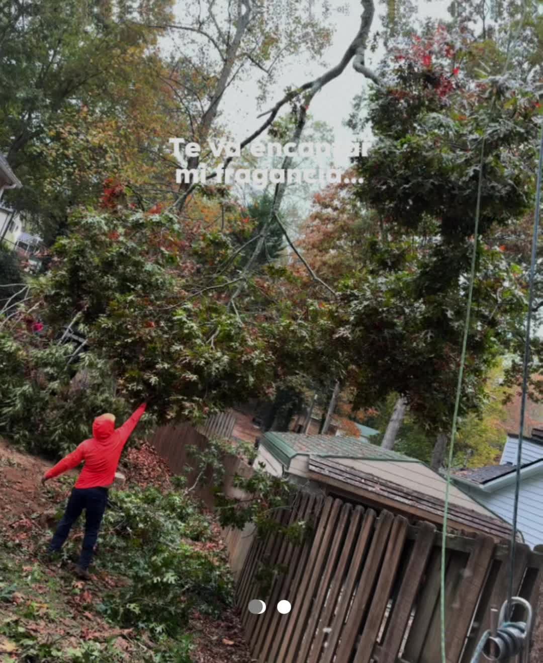 @Daniel Martinez