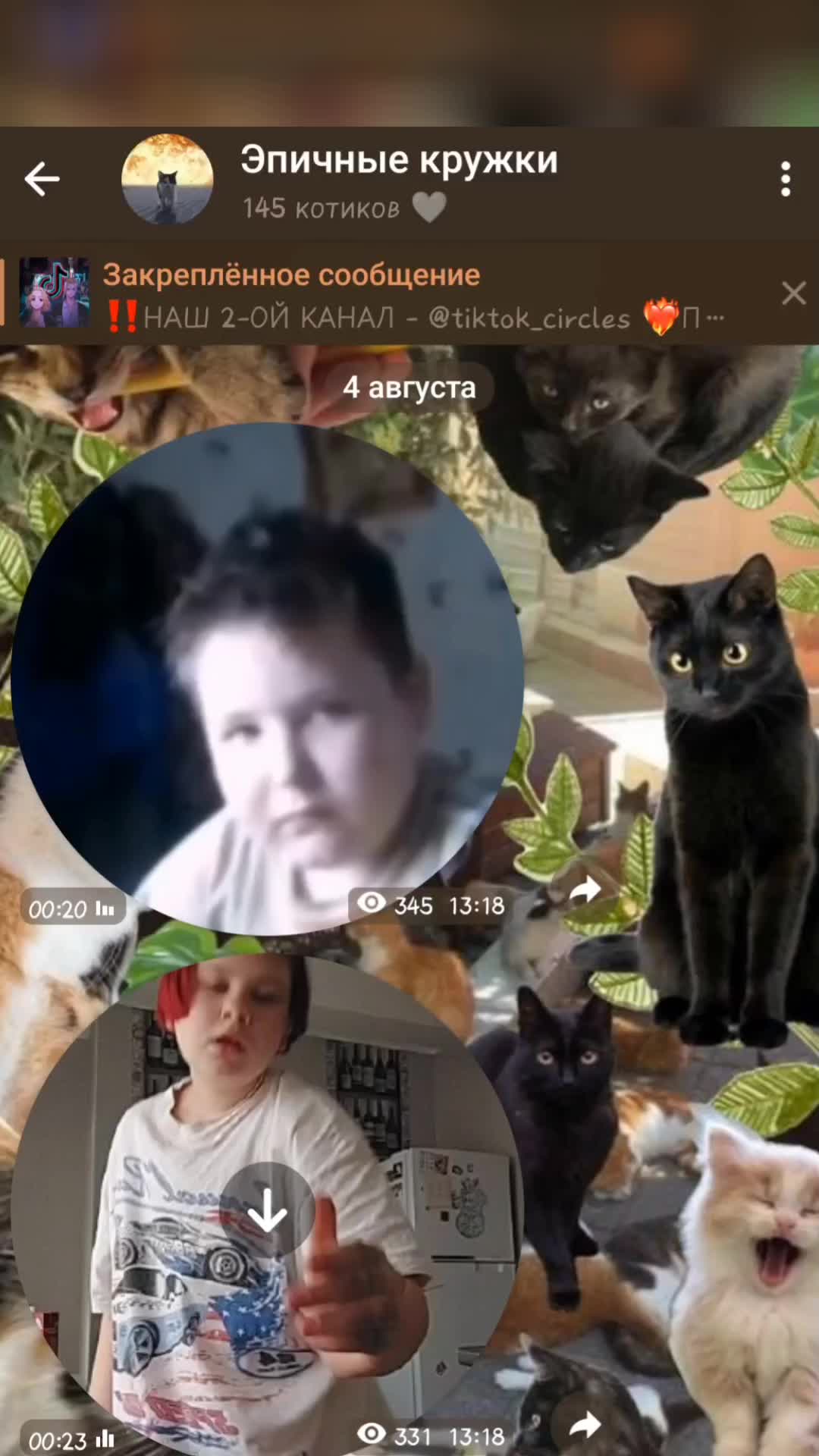 @тгк: эпичные кружки