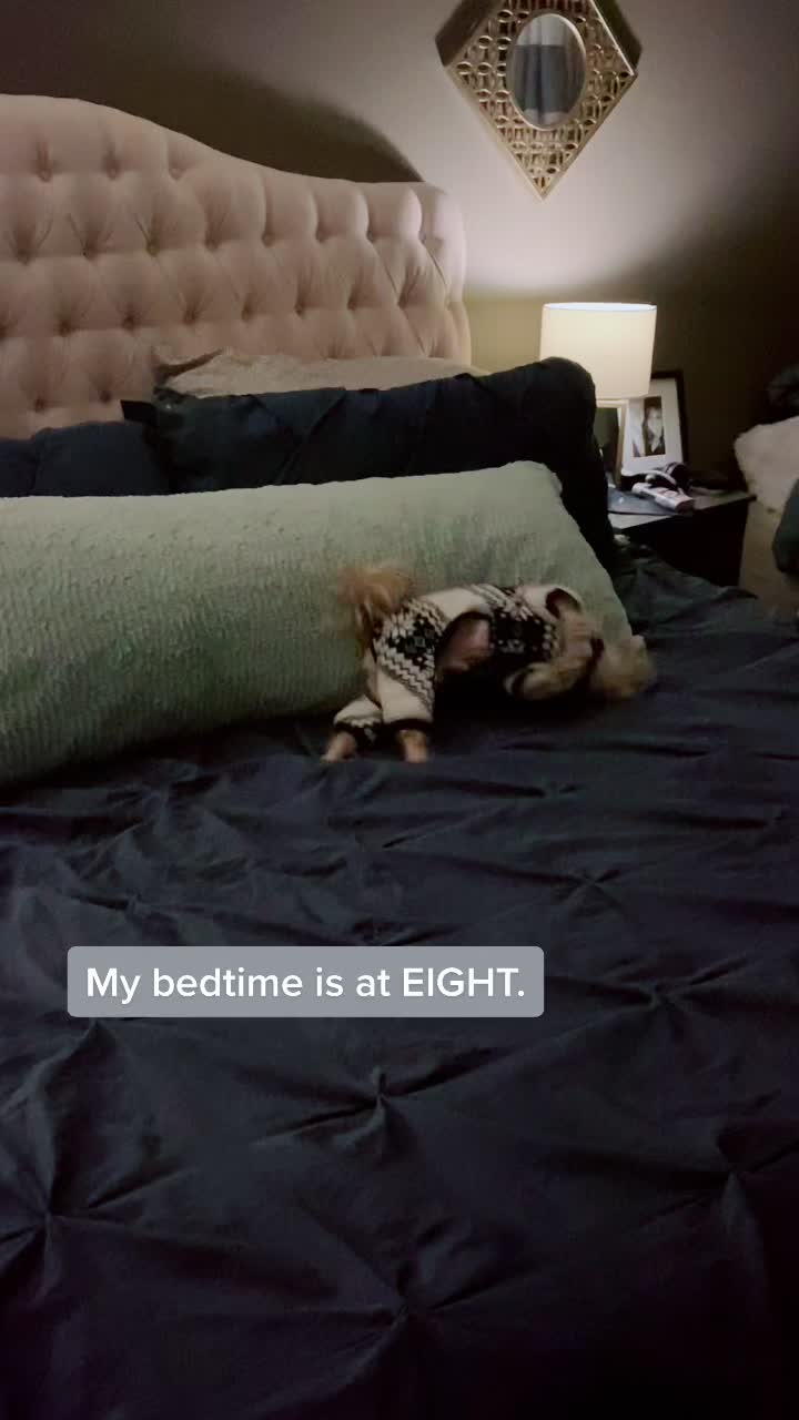 @JessK | Dog Mom