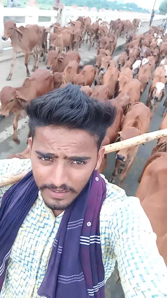 @Sindhav Vijay