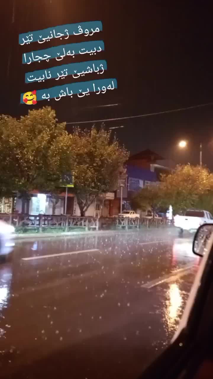 @maylibarzani